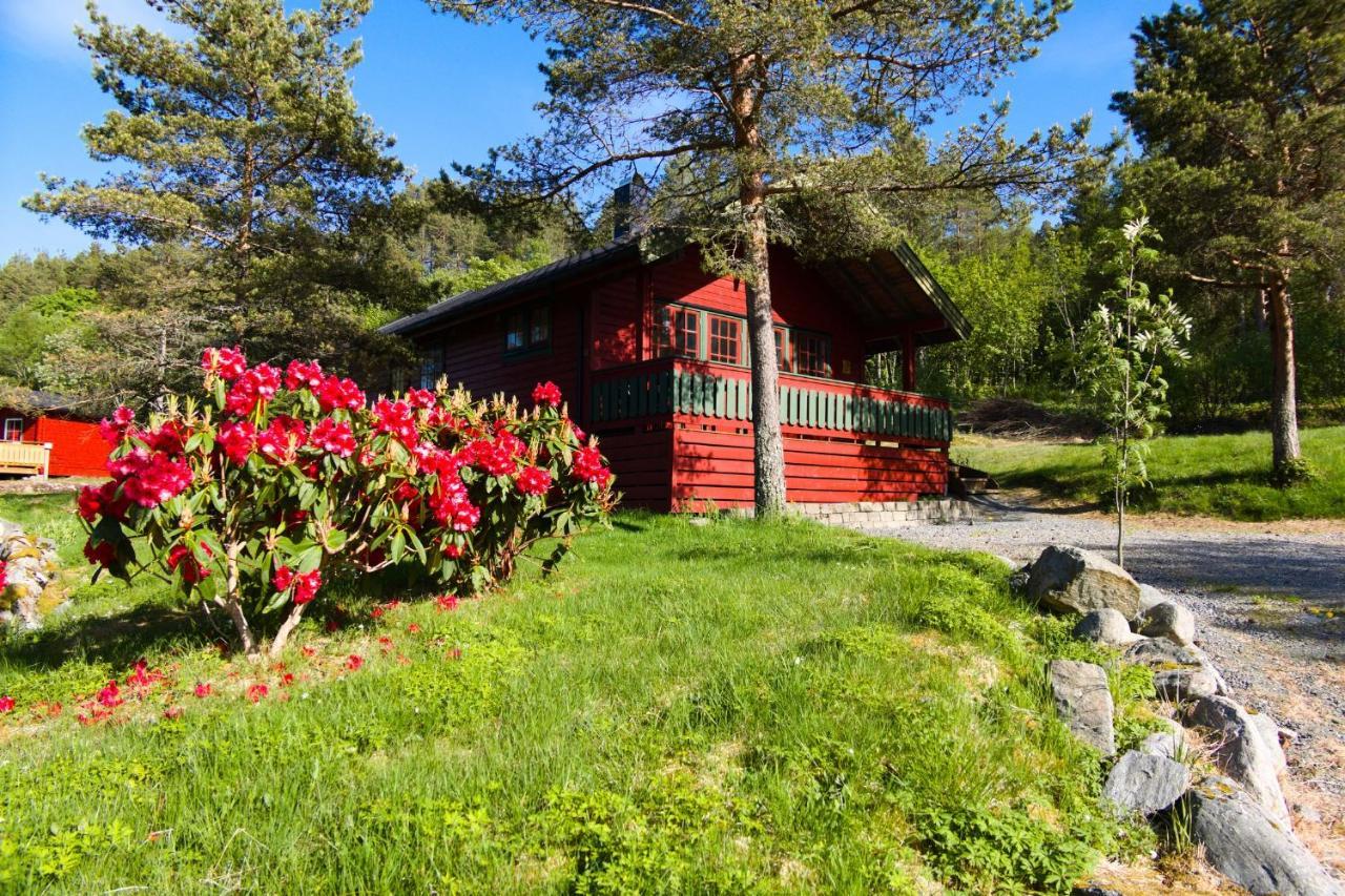 Sjoholt Camping Exterior photo